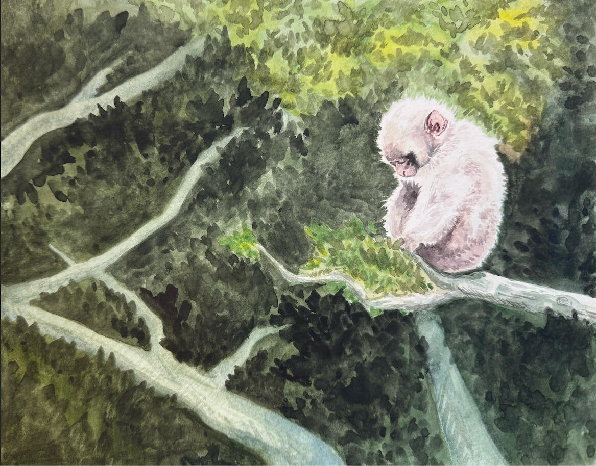 Photo Study of: @antony_dsd, 11" x 8", Watercolor on Paper, 2025