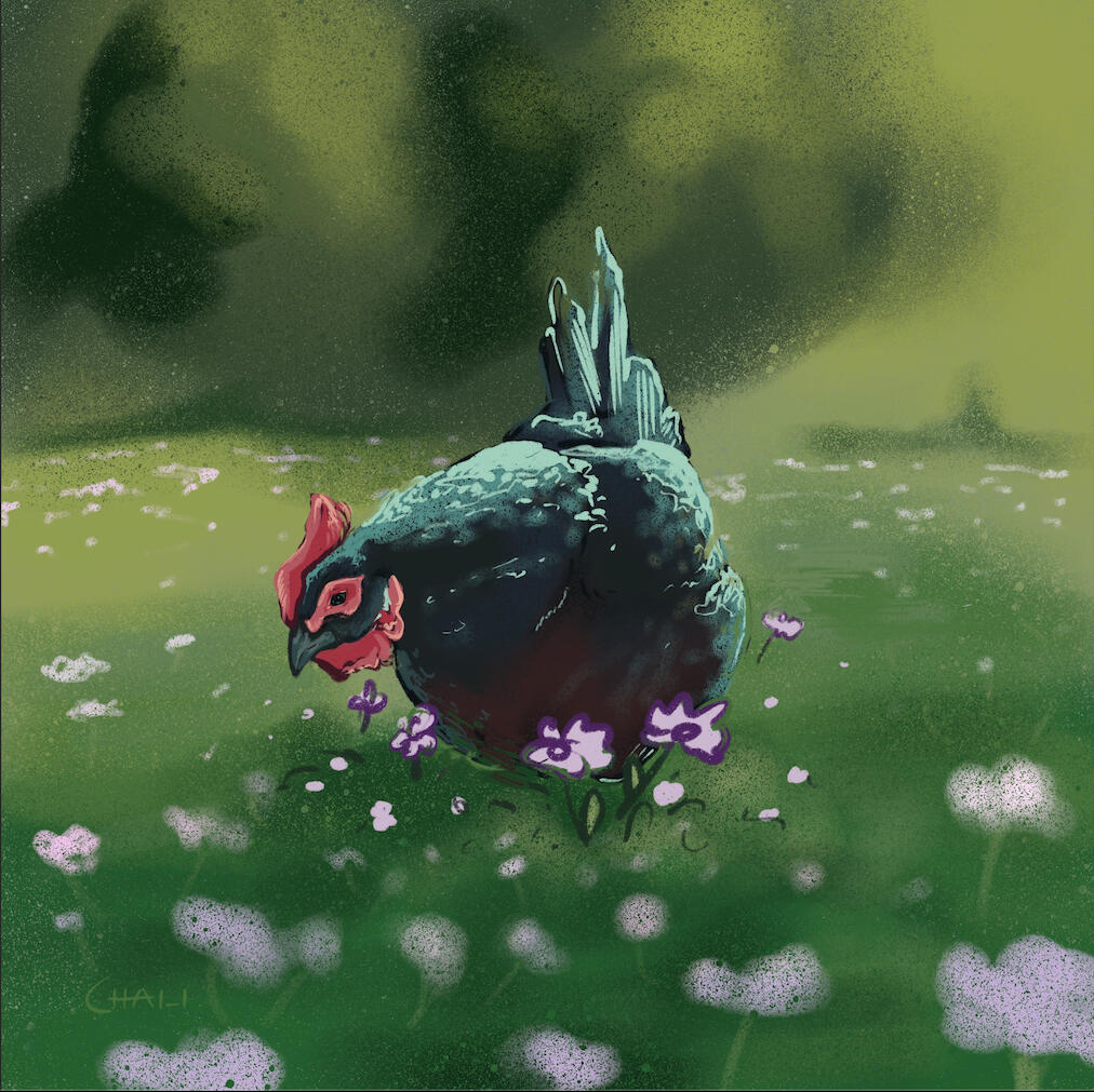Spring Poppies, 5" x 5", Digital, 2024