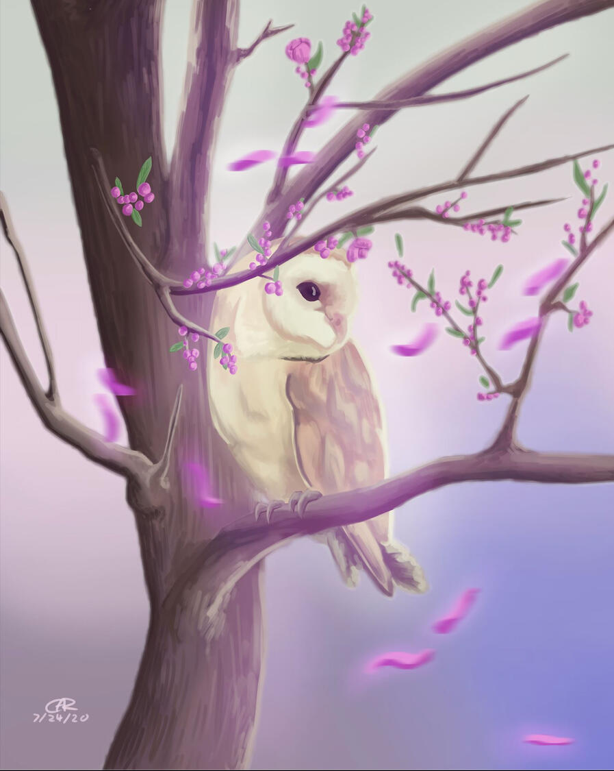 Cherry Blossom, 24" x 16", Digital, 2019